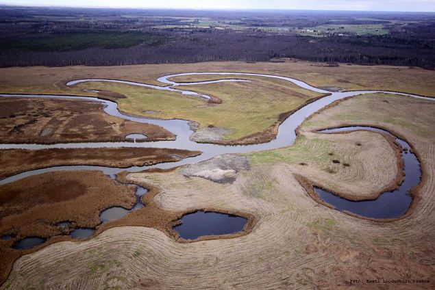 Re-opening of the oxbow lakes completed!
