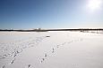 Teilma | Alam-Pedja Winter at oxbow lake, Paluphja 