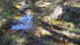 Tufa sediments in spring, Kiigumisa | Gallery Springs at Viidume 