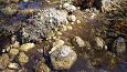 Bigest of the Kiigumisa springs | Gallery Tufa sediments, Viidume 