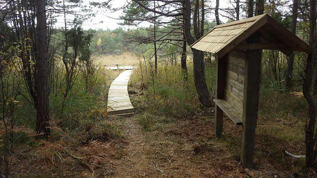 Restored nature trail, Viidume, October 2016 