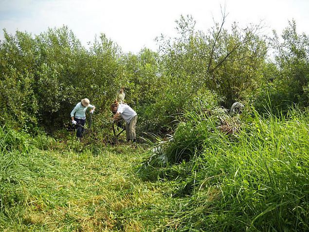 Estonian fund for nature calling for voluntary conservation work