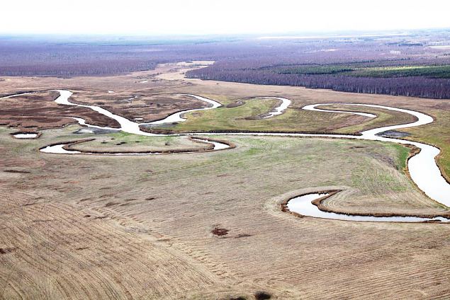 HAPPYFISH: LIFE + projekt "Elustiku kaitse Emaje vanajgedes Alam-Pedja NATURA 2000 kaitsealal"