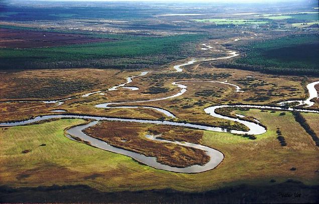 HAPPYFISH: LIFE+ project "Saving life in meanders and oxbow lakes of Emajgi River on Alam-Pedja NATURA 2000 area"