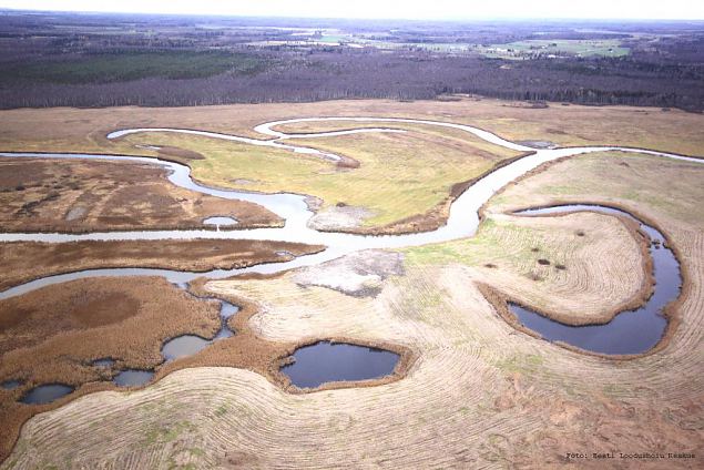 HAPPYFISH: LIFE+ project "Saving life in meanders and oxbow lakes of Emajgi River on Alam-Pedja NATURA 2000 area"