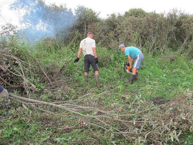 Manual work at spawning grounds