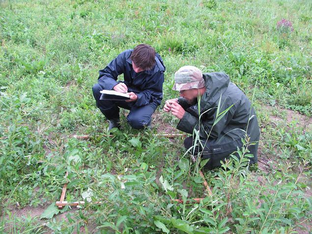 Floristic analyses