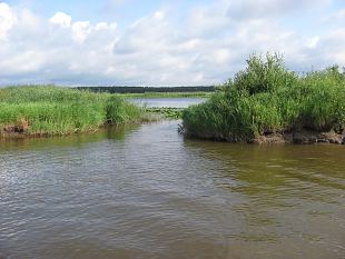 Re-opening of the Esimene kaevand 