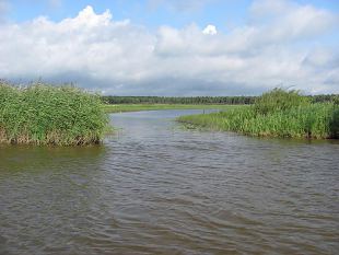 Re-opening of the Krkna meander