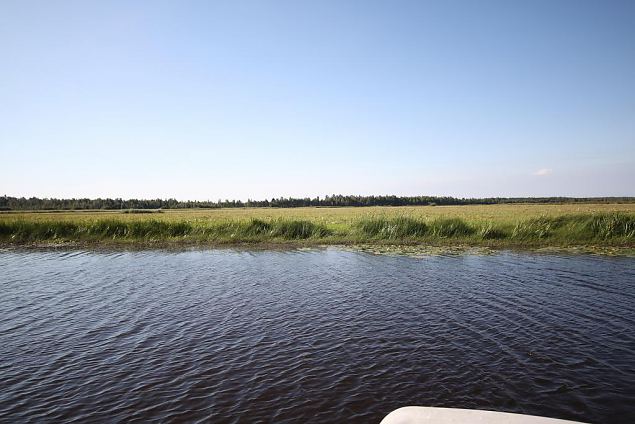 40 hectares of restored spawning grounds 