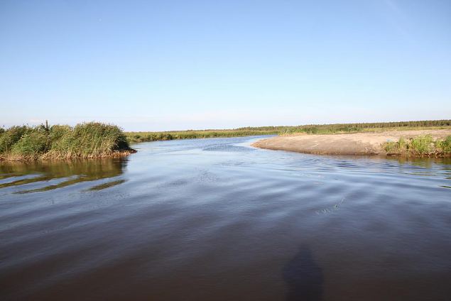 Re-opening of the oxbow lakes going step by step