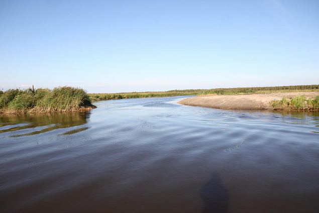 Re-opening of the oxbow lakes going step by step