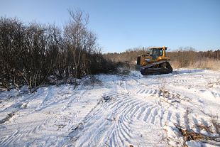 Restored 3 ha of meadow at Soova brook