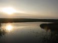 Spring at Alam-Pedja floodplain | Alam-Pedja Oxbow lake, Emajgi 