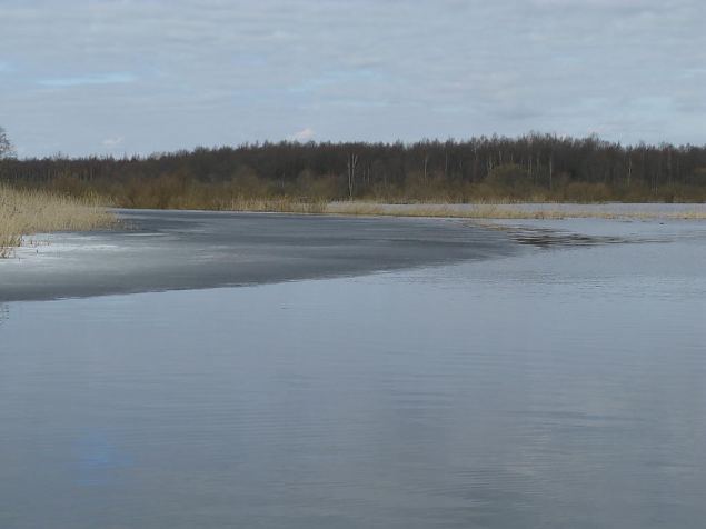 Emajgi river, spring 