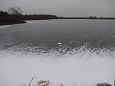 The road to Paluphja is flooded every spring | Alam-Pedja Winter at Krevere, Emajgi 