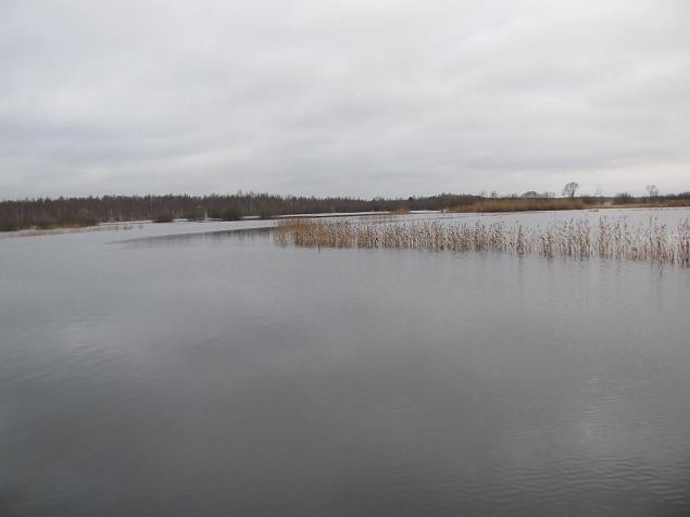 Flooded meadow, Emajgi, Paluphja 