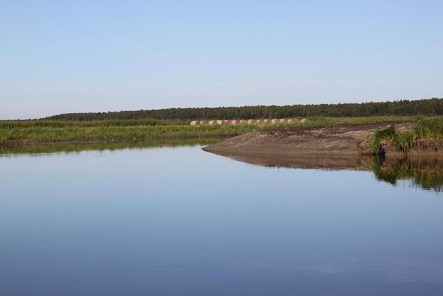 Maintained meadow and tha re-opened oxbow lake, Krevere 