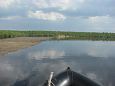 The flooded rivermouth of the Laeva river, spring 2009 | Alam-Pedja First spring after re-opening