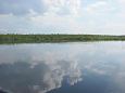 The flooded rivermouth of the Laeva river, spring 2009 | Alam-Pedja Flooded meadow, Reku 