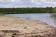 Spawning of the bream, Samblasaare oxbow lake | Alam-Pedja 