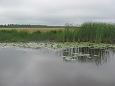 The flooded rivermouth of the Laeva river, spring 2009 | Alam-Pedja Maintained meadow, Samblasaar