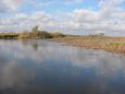 The flooded rivermouth of the Laeva river, spring 2009 | Alam-Pedja Re-opened Samblasaare oxbow l