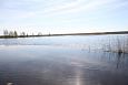 The sediment placement eraes are very usefull for the birds | Alam-Pedja Flood at Kupu oxbow lak