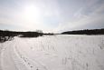 The sediment placement eraes are very usefull for the birds | Alam-Pedja Floodplain at the Teilm