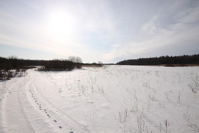 Floodplain at the Teilma 