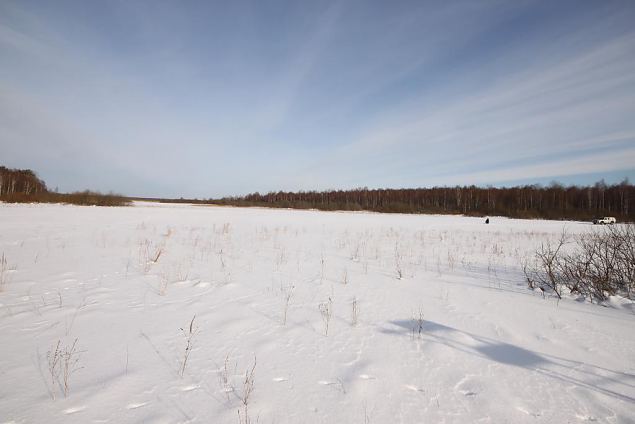 Floodplain at Teilma 