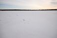 First spring after the re-opening, Kupu oxbow lake mouth | Alam-Pedja Teilma 