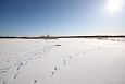 The road to Paluphja is flooded every spring | Alam-Pedja Winter at oxbow lake, Paluphja 