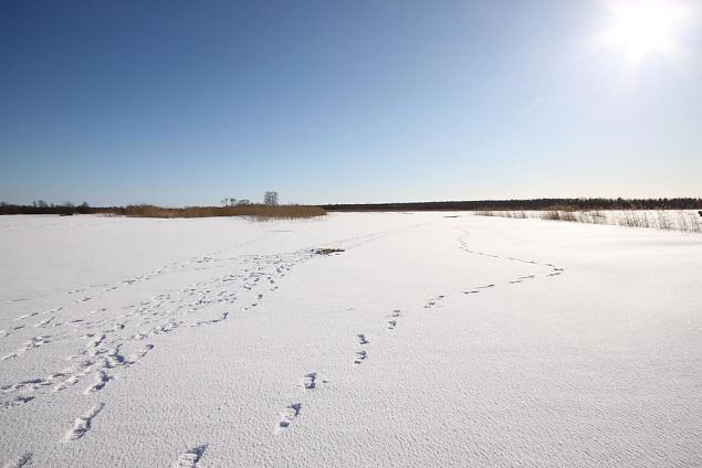 Winter at oxbow lake, Paluphja 