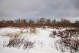 The road to Paluphja is flooded every spring | Alam-Pedja Vegetation at floodplain, Ilmatsalu 