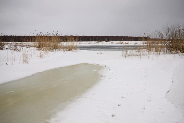 Disconnected mouth of the Albri oxbow lake 