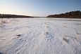 First spring after the re-opening, Kupu oxbow lake mouth | Alam-Pedja Teilma floodplain 