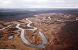 The sediment placement eraes are very usefull for the birds | Alam-Pedja Emajgi river and oxbow