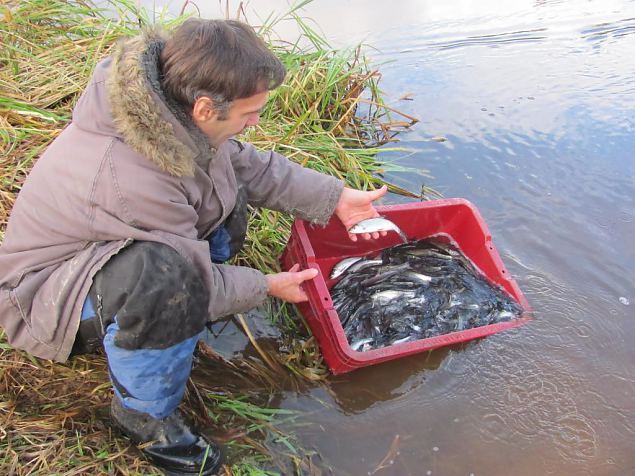 1000 asps from last year released