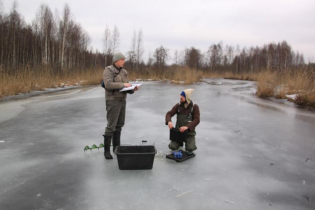 Monitoring, winter 2013 