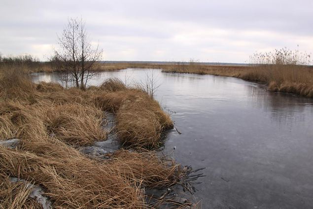 Project site, winter 2013 