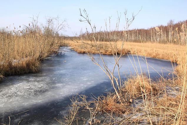 Project site, cleaning the riverbank, spring 2014 