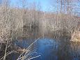 Project site, cleaning the riverbank, spring 2014 | Gallery Project site, spring 2014 