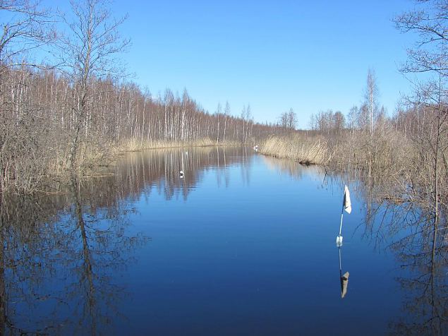 Project site, spring 2014, monitoring 