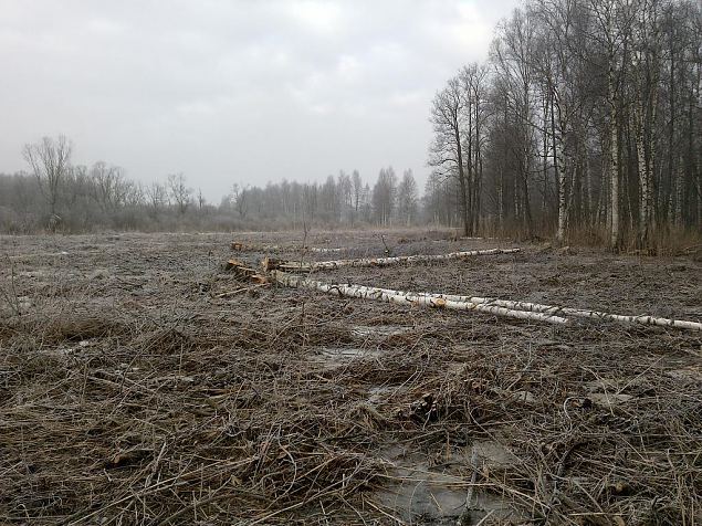 Work at the floodplain, february 2015 