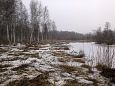 TV broadcast OSOON, project site | Gallery restored floodplain at Laeva river, February 2015 