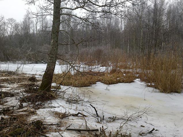 Small obstacle in Laeva river 