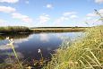 Small obstacle in Laeva river | Gallery Remained river section, August 2015 