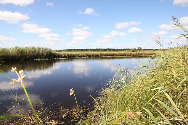 Remained river section, August 2015 