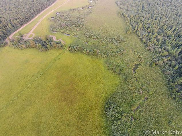 Laeva river, Aiu floodplain, before restoring 